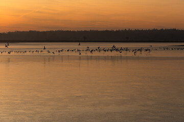 Zach&oacute;d słońca nad zamarzniętym stawem z sylwetkami ptak&oacute;w stojących na lodzie. Ciepłe, wieczorne kolory kontrastują z zimną, teksturowaną powierzchnią zamarzniętej wody, tworząc spokojną i nastrojową 
