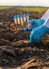 Field soil samples for analysis. Selective focus.