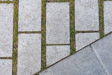 Gray paving slabs with green moss stripes between the joints creating a natural organic pattern