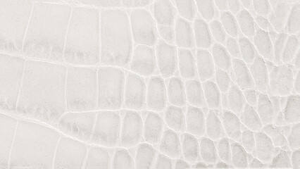 White crocodile embossed leather with glossy surface and luxury exotic texture, perfect for fashion accessories background. Modern trendy backdrop in color of the year 2026 Cloud Dancer