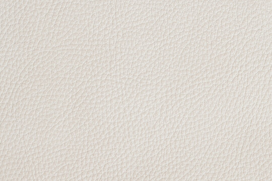 White full grain leather with natural texture and soft matte finish. Natural background for minimalist premium design, product mockups in color of the year 2026 Cloud Dancer
