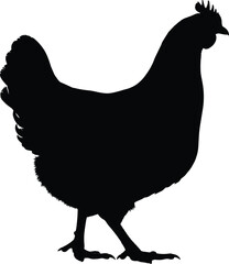 Chicken silhouette—vector of right-facing poultry profile with comb, tail feathers, and legs