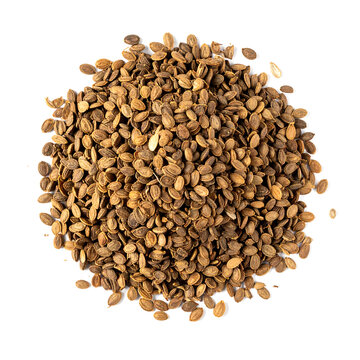 Organic Whole Celery Seeds Heap &ndash; Savory Spice for Gourmet Seasoning, Salads, and Wellness Infusions