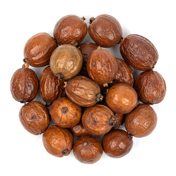 Top View of Dried Arjun Fruits (Terminalia arjuna) &ndash; Traditional Ayurvedic Herbal Supplement for Wellness