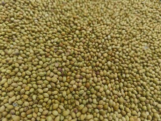Close up shot of pile of dried Coriander.