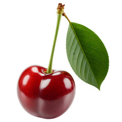 Single red cherry with stem and leaf isolated on transparent background