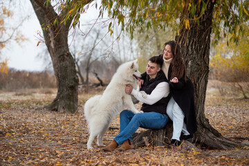 A young family - a guy, a girl and a cute fluffy Samoyed - are walking by the river