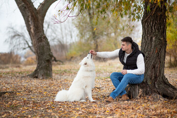 A guy trains his pet Samoyed while sitting in a park by the river