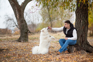 A guy trains his pet Samoyed while sitting in a park by the river