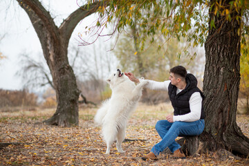 A guy trains his pet Samoyed while sitting in a park by the river