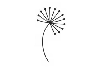 Minimalist dandelion seed head illustration with clean graphic lines, modern botanical art element on transparent background