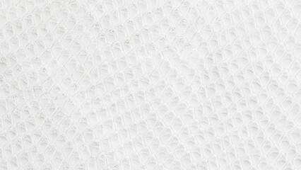 White reptile skin texture in Cloud Dancer tones featuring, scale delicate pattern. Minimal...