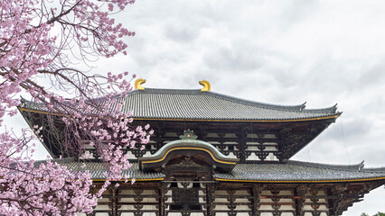 Scenic view of Todai-ji Daibutsuden (Great Buddha Hall) in Nara, Honshu island in Japan