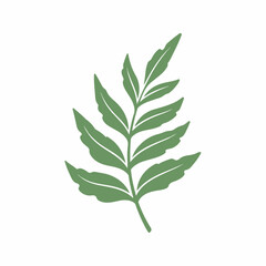 Minimalist green leafy branch illustration, versatile nature-inspired vector graphic element for natural designs