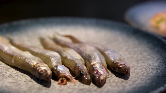Pandaka pygmaea Turkish fried anchovy (hamsi tava), lemons and onion are served with white plate in black. High quality 4k footage