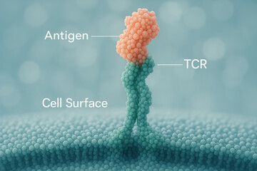 Detailed microscopic molecular scene of an antigen docking onto TCR on cell surface. This scientific illustration for teaching shows intricate membrane texture with soft bokeh
