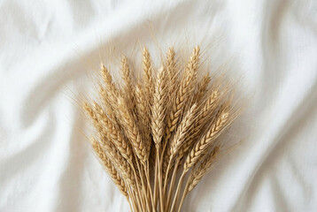 A bundle of dried golden wheat stalks placed on a soft white fabric background