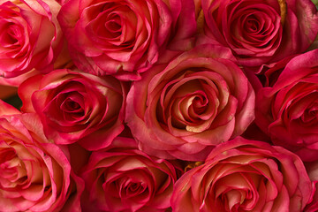 bouquet of red roses. Floral background. Roses for sale.  Beautiful natural bright pink roses pattern background. Valentine, wedding, love , romantic concept.