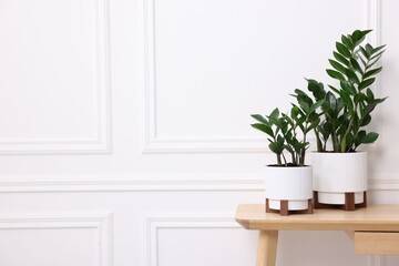 Beautiful potted houseplants on wooden table near white wall. Space for text