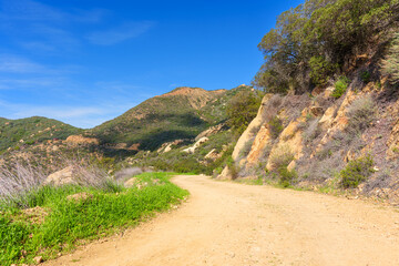 Naklejka premium Idyllic Mountain Trail Under Bright Blue Sky in Red Rock Canyon