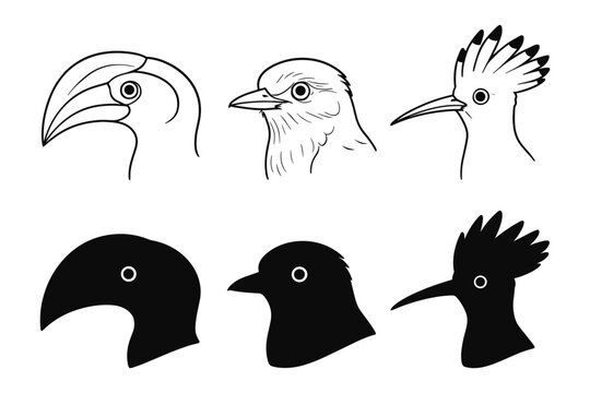 Minimalist bird profiles in silhouette and line art style