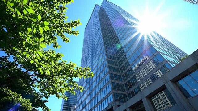 Low angle view of modern glass skyscraper reflecting bright sun flare and blue sky, with vibrant green tree foliage in the foreground on a sunny day