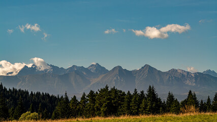 Majestic Tatra Mountain Range Behind Forested Field Under Clear Blue Sky at Sunset