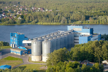 A factory stands near a river with large silos, surrounded by trees and houses. The scene shows clear skies and bright sunlight during the day. People may work inside the factory