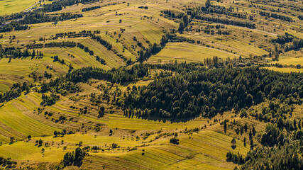 Aerial View of Terraced Farmland and Forested Hills Across Rolling Countryside