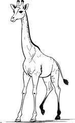 Fototapeta premium Thin-line illustration of a giraffe walking gracefully, with simplified limb shapes and a clean linear style 2