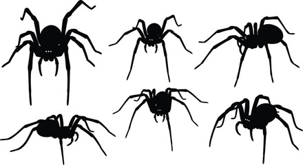 Ornate Decorative Cat Vector Illustration, Highly Stylized Black and White Art with Intricate Tribal, Spiral, and Geometric Motifs, Ideal for Tattoo Design, Elegant Animal Ornamentation, and Feline