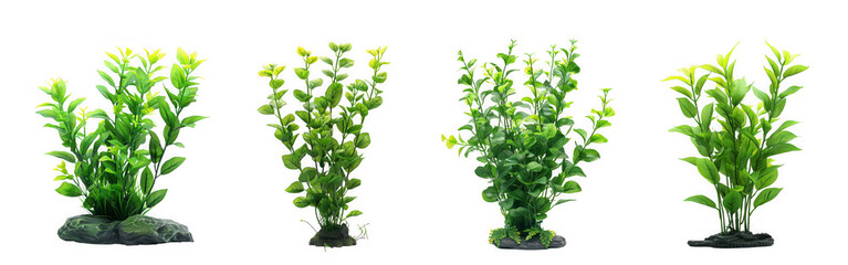 Fototapeta premium Four tall artificial green aquarium plants with realistic foliage and stone bases isolated on transparent background