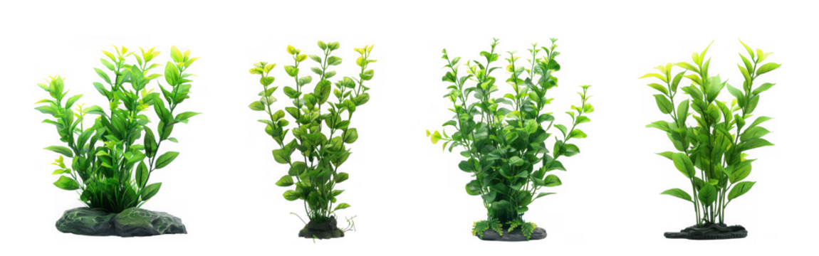 Four tall artificial green aquarium plants with realistic foliage and stone bases isolated on transparent background