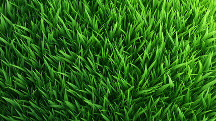 Fresh natural grass texture in top view, lush green lawn background for eco banners, landscape design and spring nature concepts