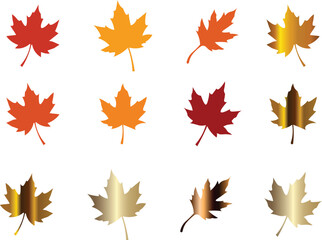 Collection of twelve stylized maple leaves in various autumn colors like red, orange, yellow, and gold