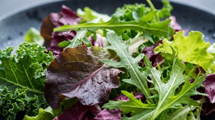A close-up of a vibrant salad mix with green, burgundy, and purple leaves, veined and dripping with fresh water. It conveys natural freshness and healthy eating.