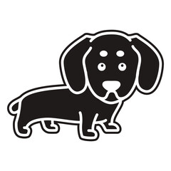 Cute dachshund black