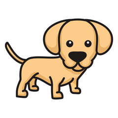 Cute labrador puppy colored