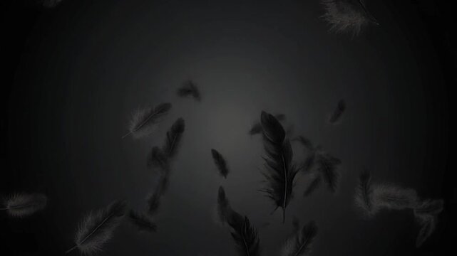 闇を舞う黒い羽根の群れ、優雅な落下、ミステリアスな背景