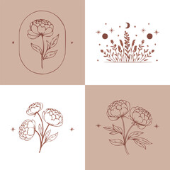 Botanical line art floral illustration set with elegant peony drawings celestial stars moon elements and minimal boho nature design © Vectyx