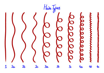 Hair type chart displaying different textures from straight to coily for beauty and personal care guides and educational materials about hair care