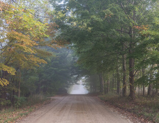 road in autumn forest