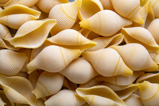 Closeup of uncooked large pasta shells - Conchiglioni rigati pasta