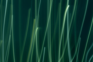 Abstract teal green line background eco friendly design