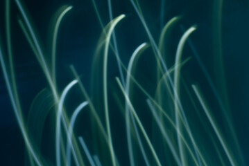 Paint traces of light with luminous brushstrokes across the dark canvas.