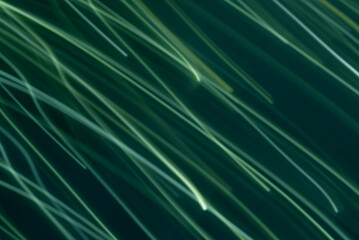 A vibrant image with wavy, green and turquoise lines.