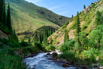A swift mountain river in  a lush valley in Almaty, Kazakhstan. The pristine beauty of the Zailiysky Alatau landscape. for use in travel, nature, outdoor adventure, or tourism-focused content