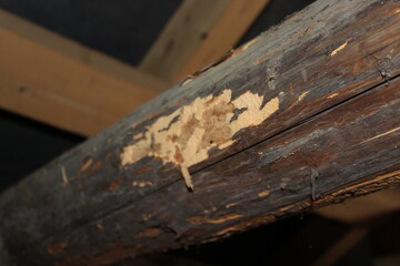 Close view of wood beam showing damage and wear from insects in an attic at an old house in a rural area during daylight hours