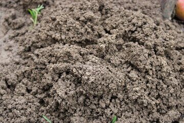 Soil in a garden bed shows texture and moisture after recent rain during springtime