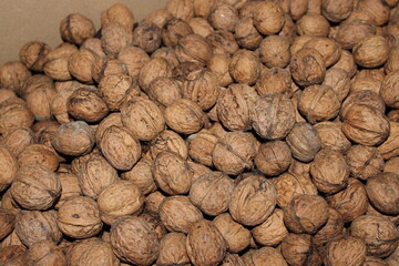 Walnuts gathered in a box for storage and sale during the harvest season in the countryside